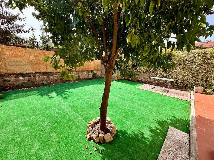 Apartment Mons Rome